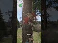 Rust Beginner Tips Part 4