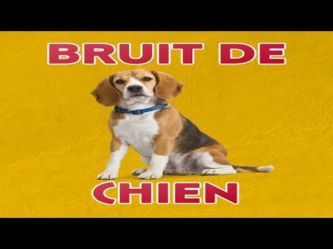 bruit de CHIEN 🐶  (Aboiement)