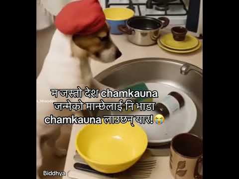 kasto mata ko haru yrr🤣🤣🤣