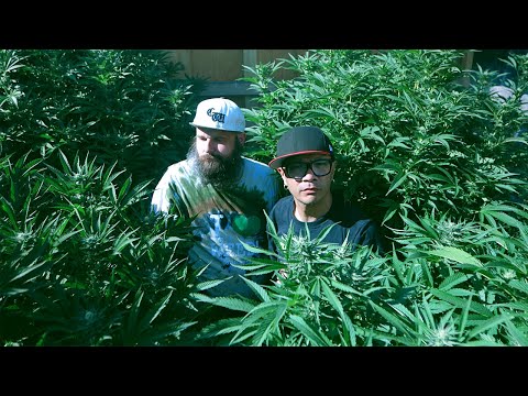 Danko Jones - Get High? (Official Music Video)