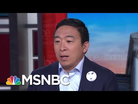 Andrew Yang Proposes 'Personalized' Guns As Way To Stem Violence | Morning Joe | MSNBC