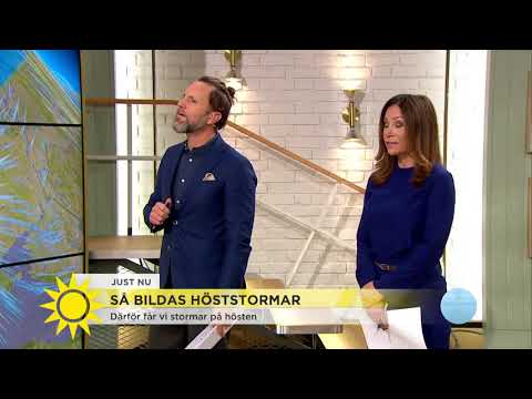 Njut av sommaren lite till - snart kommer hösten - Nyhetsmorgon (TV4)