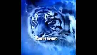 Download lagu story' wa macan putih mp3 Download lagu story' wa macan putih mp3