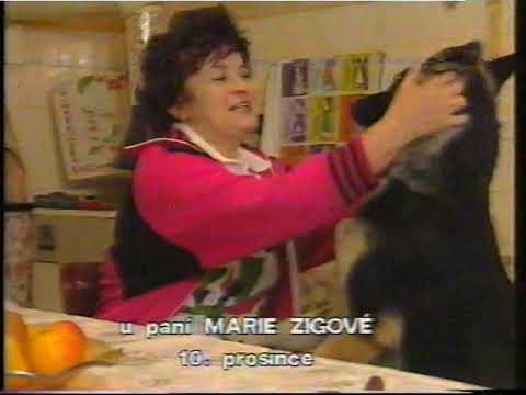 Marta Kubišová o pomoci zvířatům I ČTV - úryvek -