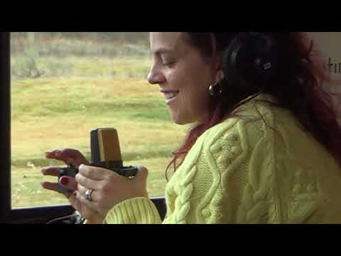 Mosaic MSC- Desperate (Reconstructed) (Lyric Video)