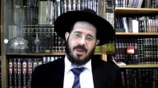 הרב אברהם מלמד קורות חיים רבי חיים מוולוז'ין (הרב אברהם מלמד) - התמונה מוצגת ישירות מתוך אתר האינטרנט יוטיוב. זכויות היוצרים בתמונה שייכות ליוצרה. קישור קרדיט למקור התוכן נמצא בתוך דף הסרטון