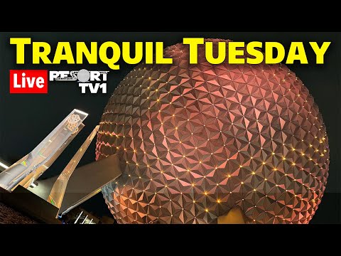 🔴Live: Tranquil Tuesday at Epcot - A Relaxing Evening - Walt Disney World - 7-8-25
