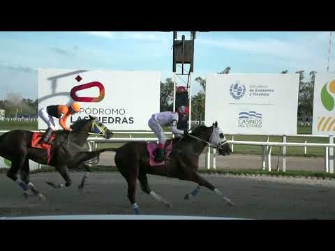 230602 C 08 - CAPE VIOLENTO (ARG) - HIPODROMO LAS PIEDRAS