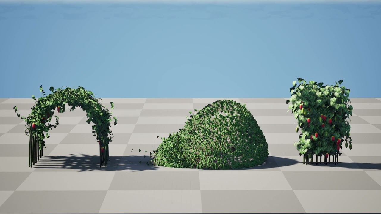 Ivy Gourd Coccinia grandis vegetables 3D Model