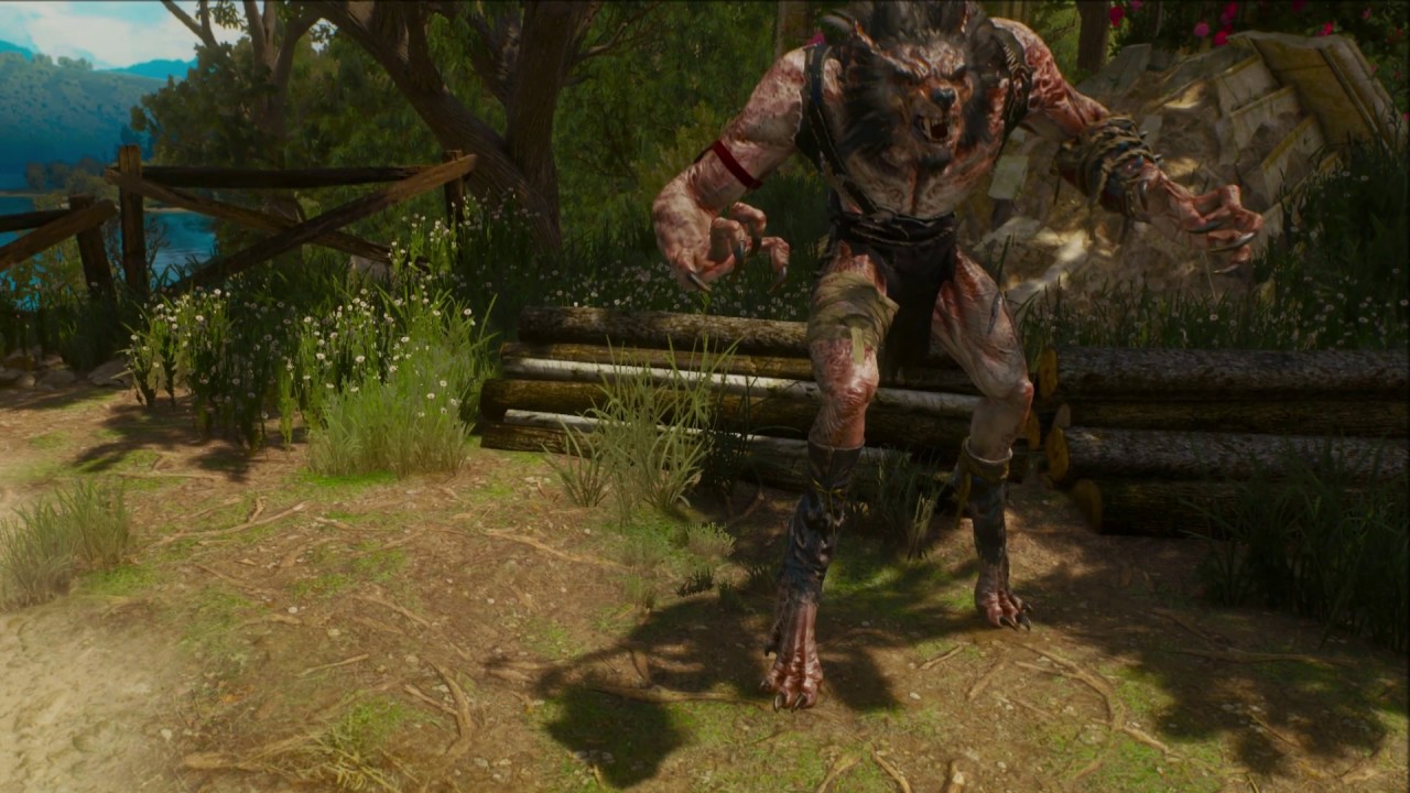 Баргест ведьмак. Ведьмак 3 мод монстры. Ведьмак 3 мод добавляющий монстров. Ведьмак 3 дикая охота бес монстр. Ведьмак 3 мод монстры.