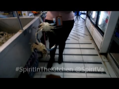 download lagu mp3 mp4 Live Crabs For Sale Near Me, download lagu Live Crabs For Sale Near Me gratis, unduh video klip Live Crabs For Sale Near Me