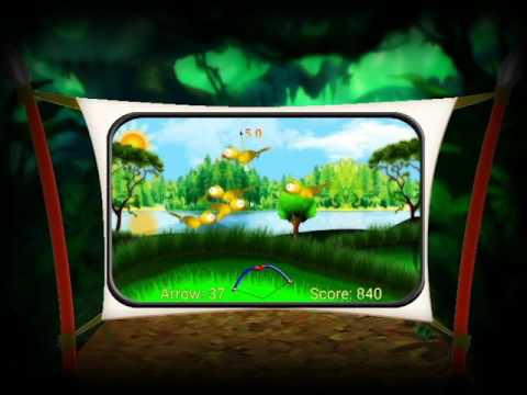 Bird Archery Video