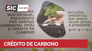 RO MP holds seminar on environmental financial investment