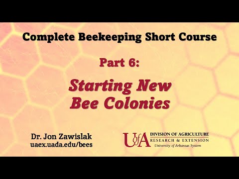 Part 6: Starting New Bee Colonies