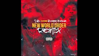 SD - "New World Order (Remix)" (feat. Danny Brown) [Official Audio]