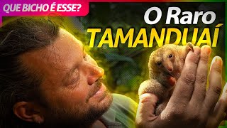 Miniatura do vídeo