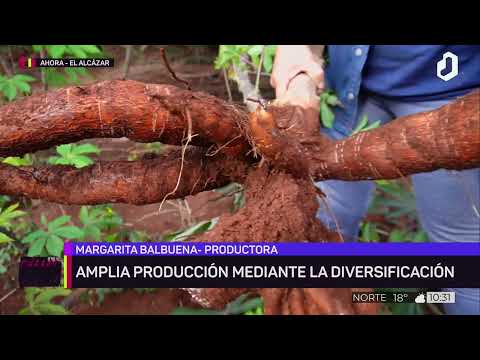 #TuCiudadNuestraCasa: Productora de El Alcázar apuesta por la agroecología