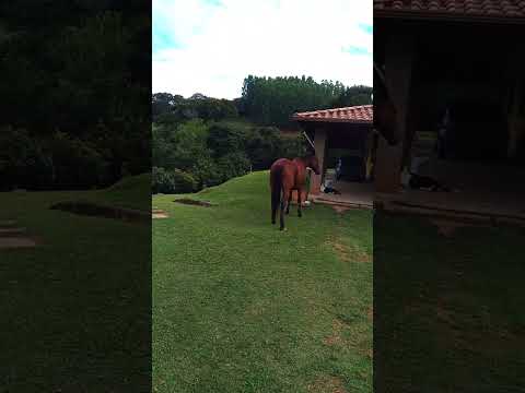 Como é a vida no campo, Estiva, MG