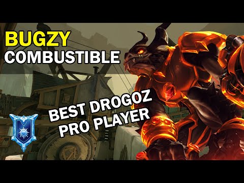 Best Drogoz bugzy Paladins Competitive (Pro Player) COMBUSTIBLE