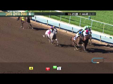 Palos Verde Stakes (Gr. II) - Sunday, February 7, 2016 HD
