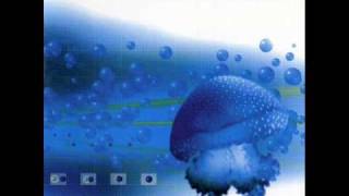 Mind-Flux - Analogue Fields (1995)