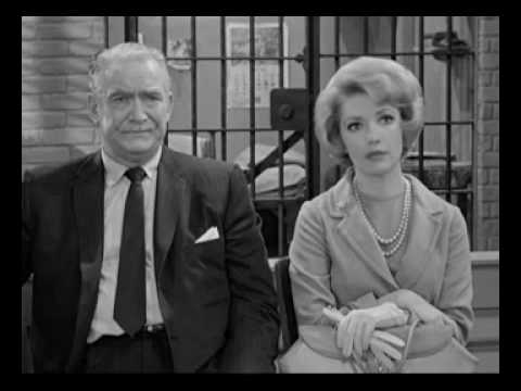 Barney for the defense