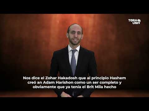 The Sod of the Parasha ✨ LEJ LEJA - "Separating evil from good"