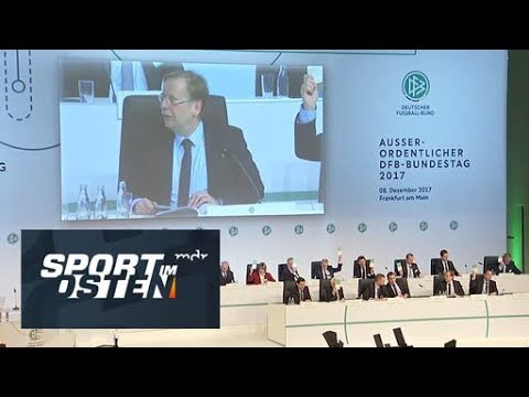 Direkte Aufsteiger bis zur Neuordnung | Sport im Osten | MDR