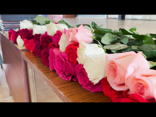 «Ангелы в белых халатах» отмечают свой профессиональный праздник