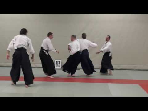 Aikido Stephane Goffin   Nage Waza and Application