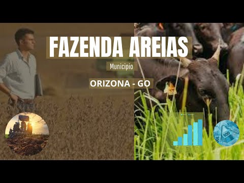 Fazenda à Venda em Orizona - GO | 227 Hectares | Estrutura Completa para Pecuária