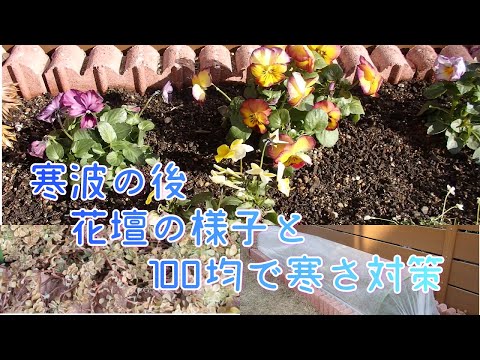 地球を霜から守る方法 手作りのプロテクターを使ってペットボトルをカットする