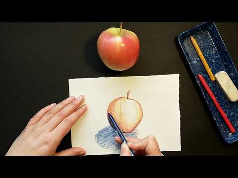 Cézanne's Still Life Shapes