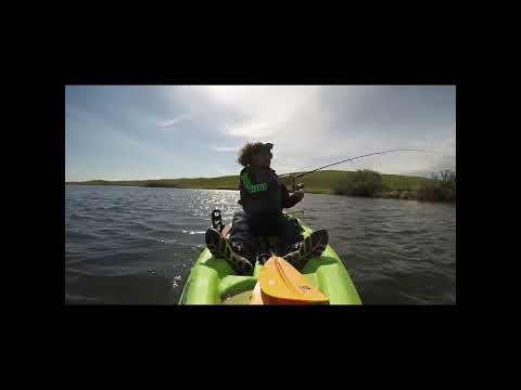 ? Jerk Baits Crush Northern Pike ??