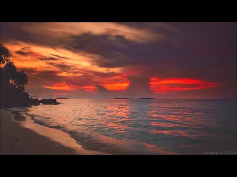 Post-Sunset Glow on the Beach - White Noise ASMR, 4K, Soothing Ocean Waves, Deep Sleep Aid 😴