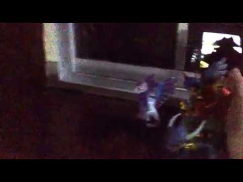 Zap's adventure: part 4 Flashwing realizes traptanium.