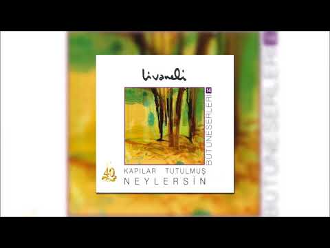 Zülfü Livaneli - Neylersin