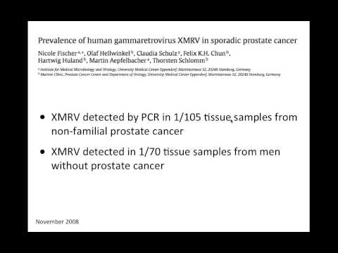Virology 2013 Lecture #25 - XMRV