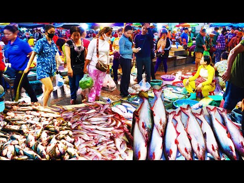 Early Morning Prek Pnov​ Fish Market Scene - Daily Lifestyle of Vendors Buying seafood, fish