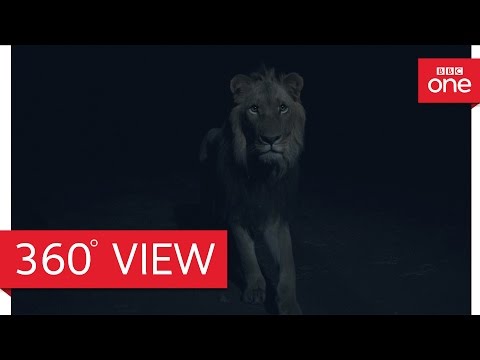 Planet Earth II - Grasslands Africa at night 360°