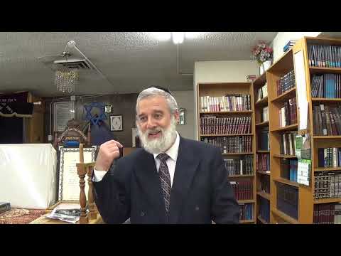 King David - Book of Psalms/Tehilim -  Lecture 40   Chapter 28