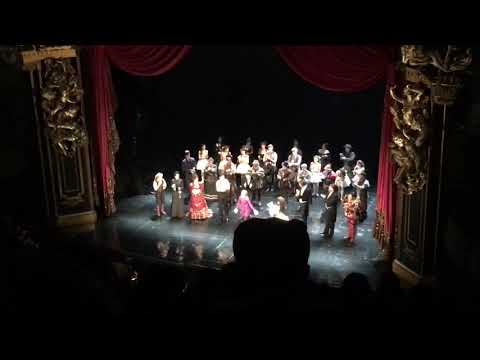phantom of the opera ali ewoldt’s last curtain call (11/17/18)