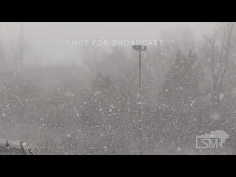 02-19-2022 - Perkasie, PA - Snow Squall - Whiteout Conditions/Strong Winds