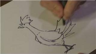 How to Draw Animals : How to Draw a Roadrunner