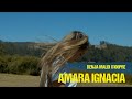 BENJA MALDI X100PRE - AMARA IGNACIA (VIDEO OFICIAL) - Amara Ignacia  BENJA MALDI X100PRE - AMARA IGNACIA (VIDEO OFICIAL)