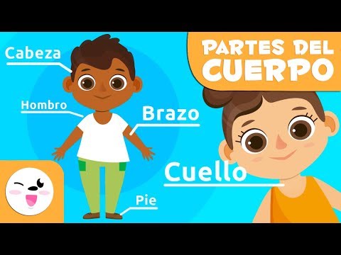 Las partes del cuerpo humano para niños | Vídeos educativos para niños