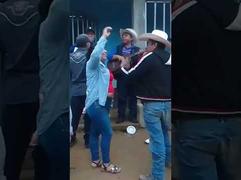 mariachis los nuevos orientales de la unión zacapa