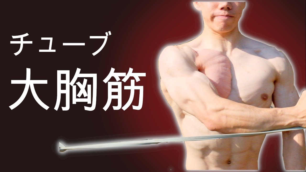 【解説】チューブ１本で大胸筋を鍛える方法【種目、効かせ方、注意点】