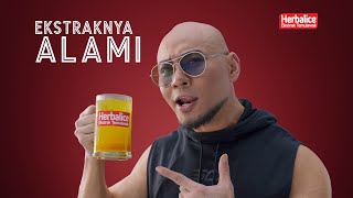 Download lagu Deddy Corbuzier : Minum Herbalice Setiap Hari.. !! mp3