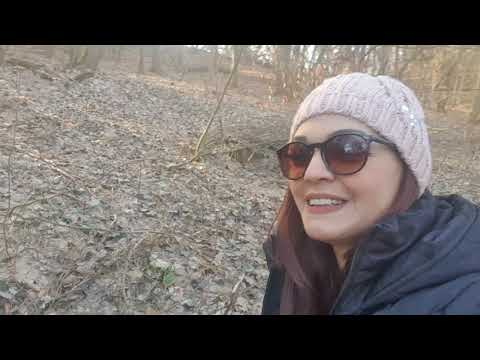 O cascadă, un castru roman si o epavă, adică o plimbare de duminică în zona Geoagiu